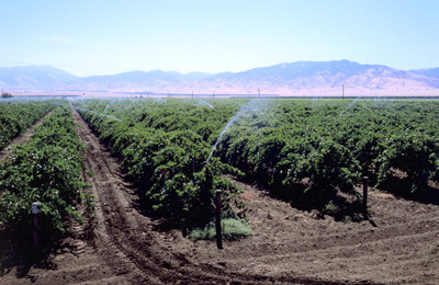 AGRICULTURE IRRIGATION SYSTEMS