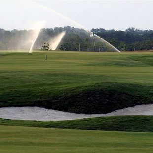 LIGHTHOUSE GOLF copy.jpg
