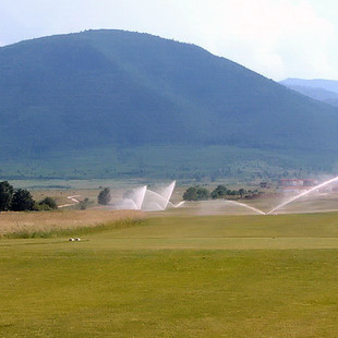 Tee Hole _ 1-2.jpg